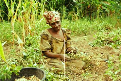 Série de webinaires thématiques wascal -ucad sur l'économie du changement climatique 2021