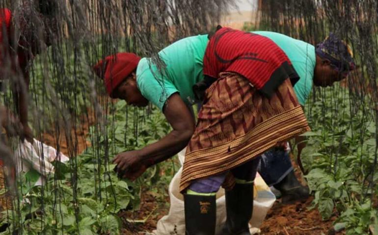 Conférence sur le changement climatique et la sécurité alimentaire en Afrique de l'Ouest